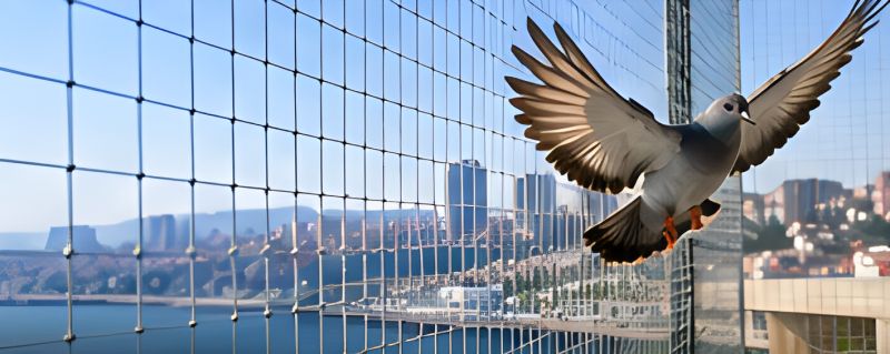 İskenderun Kuş Filesi: Deniz kıyısındaki şehre bakan balkona gerilmiş kuş filesinin dışında kanat çırpan güvercin
